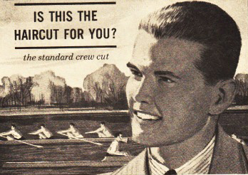 crew cut